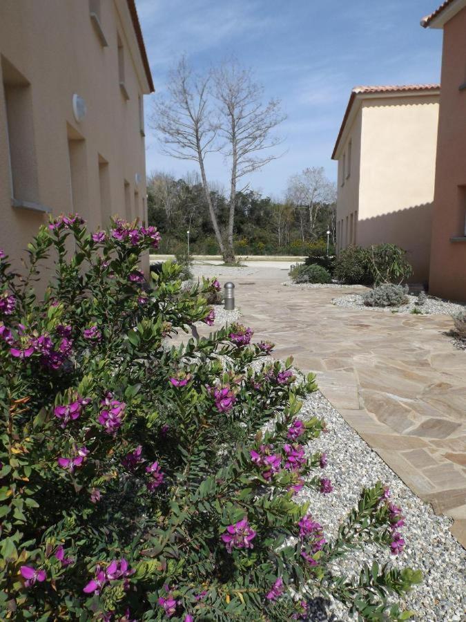 Appartement T2 Dans Residence Avec Piscine Moriani-Plage Eksteriør billede